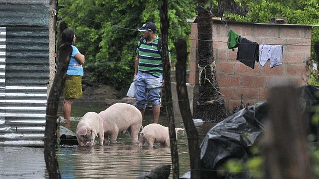CRISIS. Las lluvias en El Salvador han dejado sin hogar a varias familias