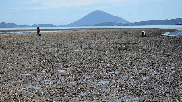 ALERTA. El coordinador del Marn comentó que los pescadores desde hace 15 días comenzaron a notar la muerte de los moluscos