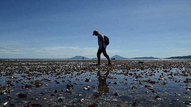 SALUD. El alcalde de Conchagua pidió a los ministerios de Medio Ambiente, Salud, Agricultura y Ganadería poner atención en lo que está ocurriendo en los manglares