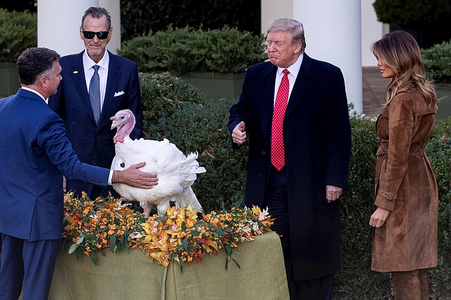 TRADICIÓN. Acto en el que Donald Trump indulta al pavo en la Casa Blanca. | Foto: Efe.