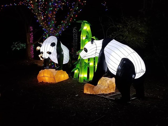 ZOOLIGHTS. El zoológico se viste de luces para enamorar a las familias esta temporada. | Foto: Zoo.