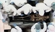 HISTORIA. Exhumación de sus restos mortales