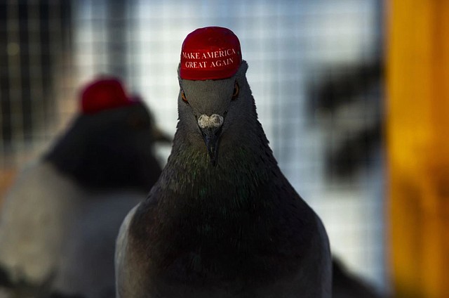 LAS VEGAS. “El objetivo de este proyecto es llamar la atención sobre el arte y el mensaje, no aquellos detrás de él”. | Foto: P.U.T.I.N.