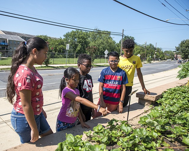 NATURALEZA. Los niños aprenden sobre los misterios y las maravillas de la naturaleza