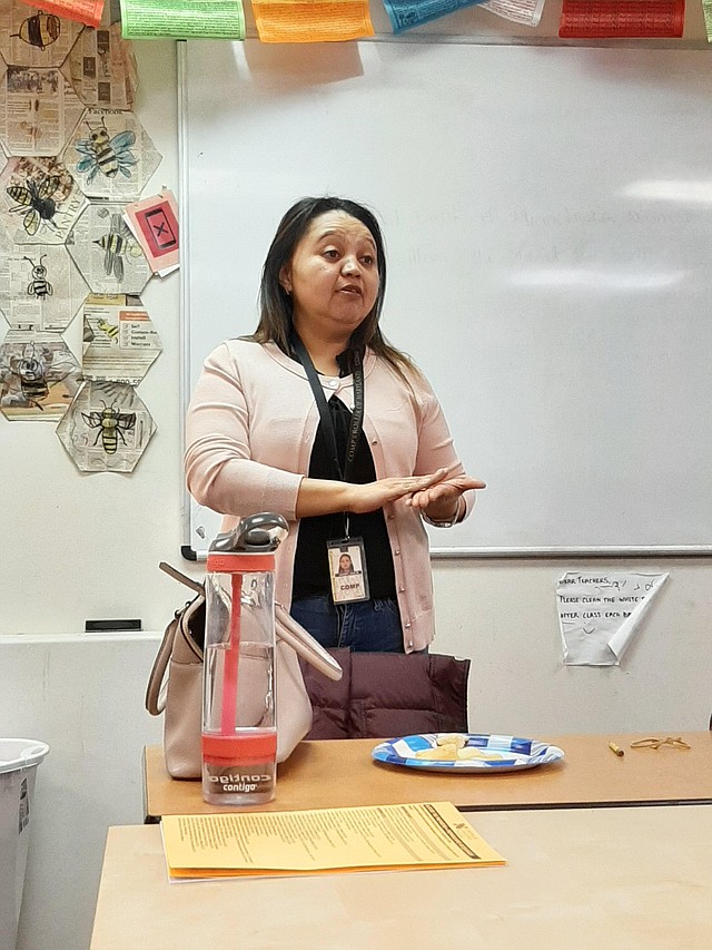 PREPARADORES. Ana Garay, encargada de la División de Servicio al Contribuyente, comentó que hay más de 100 preparadores de impuestos bloqueados en MD. CRÉDITO: Carlos Najarro - ETL