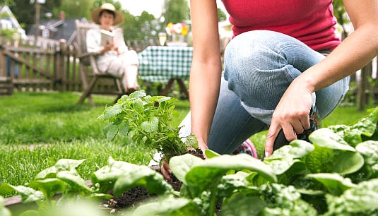 Crece la práctica de jardinería en el país