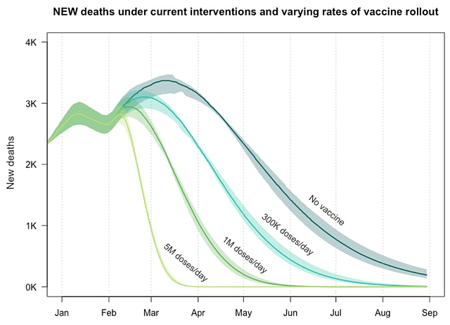 Epidemiólogos del Hospital General de Massachusetts, la Universidad de Boston y Georgia Tech hicieron un modelo sobre el efecto que tendrán las vacunas en el número de muertes por COVID-19 en función de la rapidez con que se implementen las vacunas. Descubrieron que mientras más rápido, mejor.