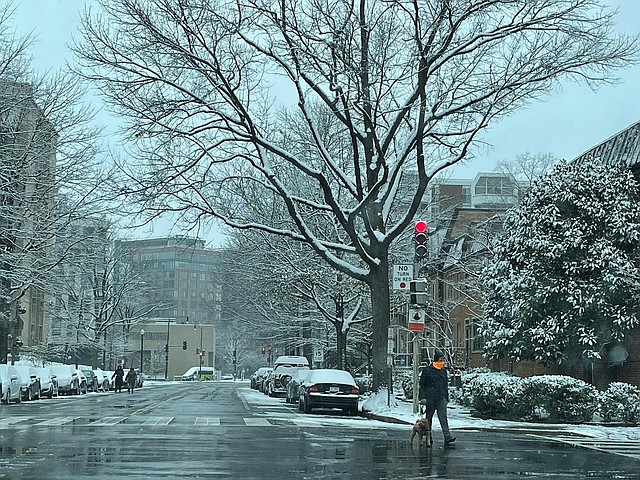 REPORTE. La mañana del domingo se registraron entre 1 y 2 pulgadas de nieve. | Foto: Ricardo Sánchez-Silva @ricardolodice.