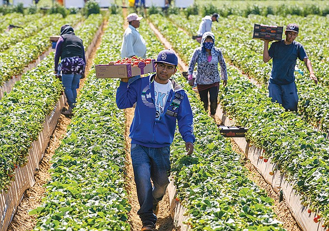 Agricultores exigen reforma migratoria