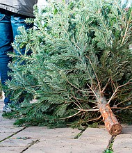 Opciones de reciclaje de árboles de Navidad